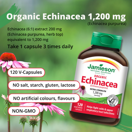 Organic Echinacea (Echinacea purpurea) 1,200 mg 120 Caps