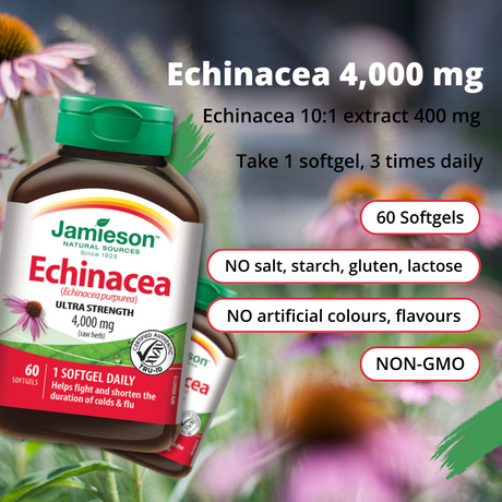 MAX POTENCY Echinacea 4,000 mg 60 Softgels