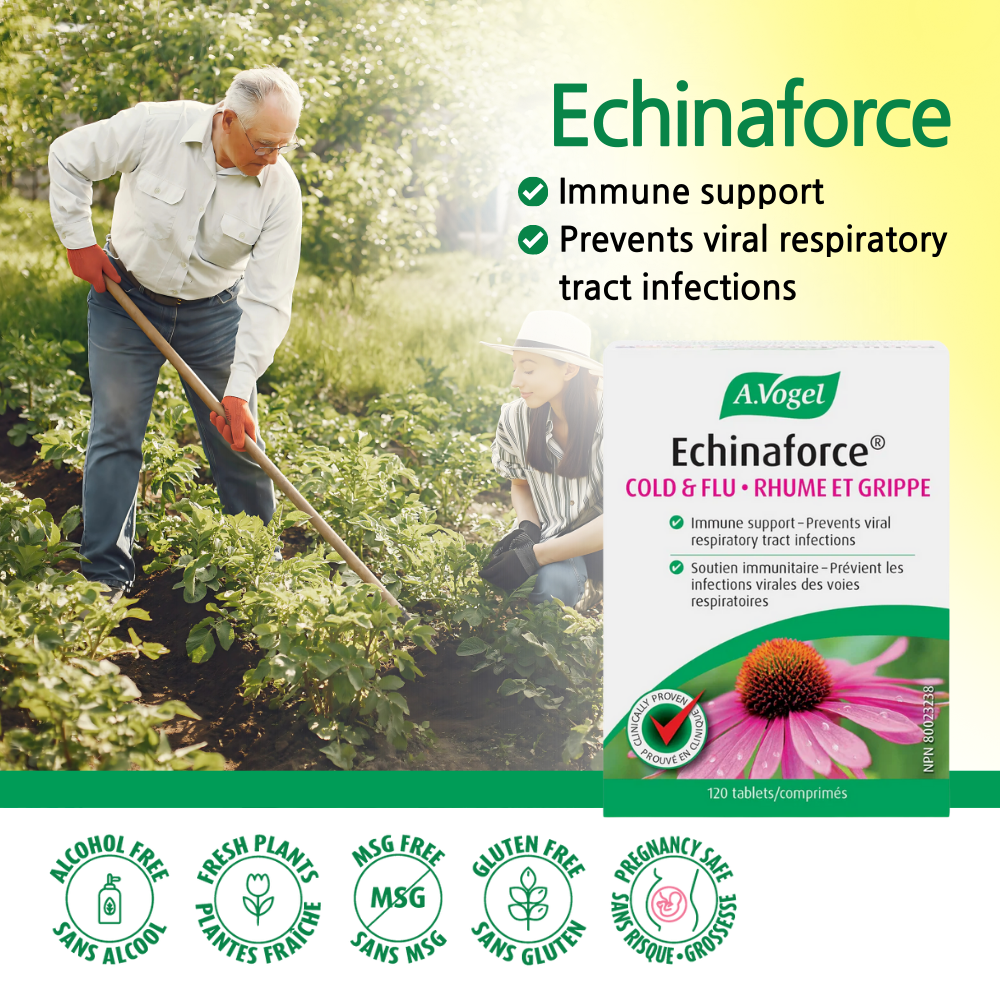 Echinaforce 120 Tablets