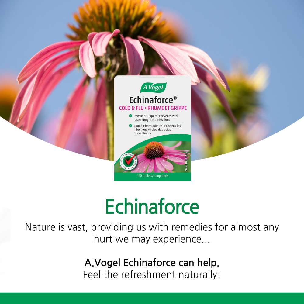 Echinaforce 120 Tablets