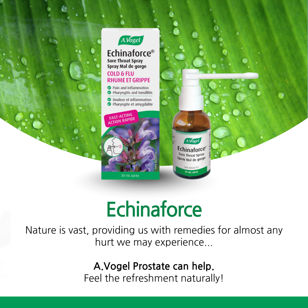 Echinaforce Sore Throat Spray 30 ml