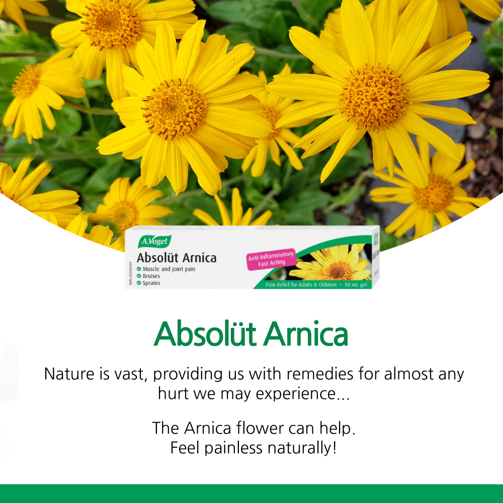 Absolut Arnica Gel 50 ml