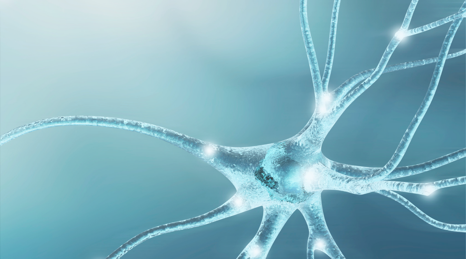 Why Do We Feel Foggy Under Stress? The Brain Science Explained