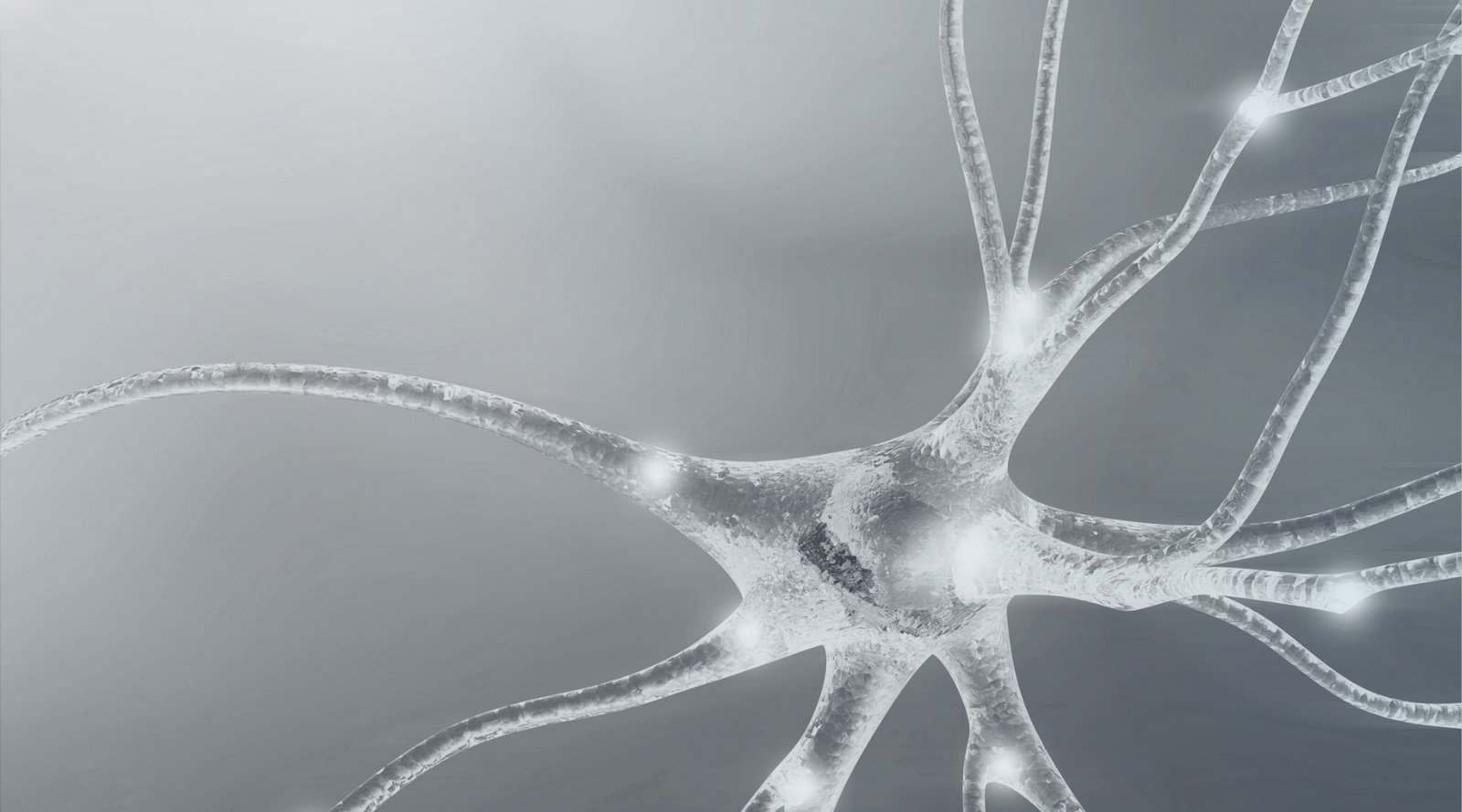 Why Do We Feel Foggy Under Stress? The Brain Science Explained