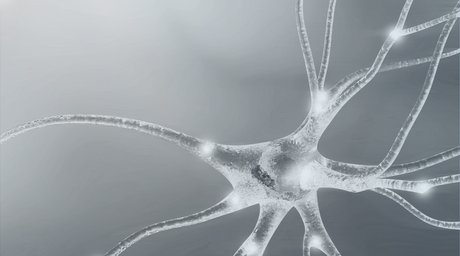 Why Do We Feel Foggy Under Stress? The Brain Science Explained