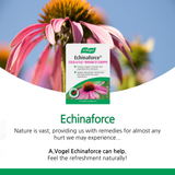 Echinaforce 120 Tablets