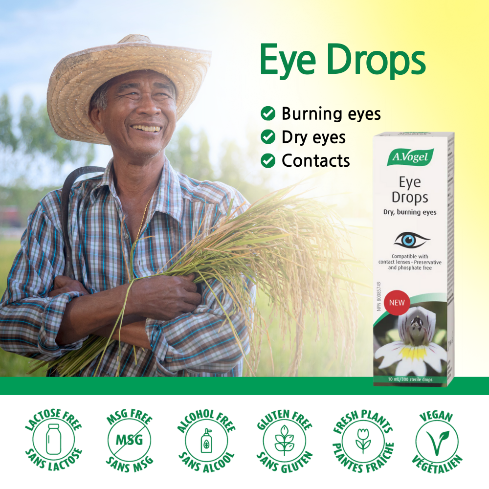 Eye Drops 10 ml
