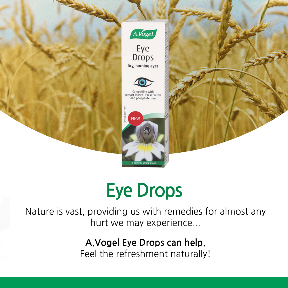 Eye Drops 10 ml