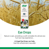 Eye Drops 10 ml