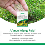 Allergy Relief 120 Tablets