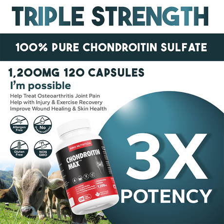 Chondroitin MAX 1200 mg 120 Caps