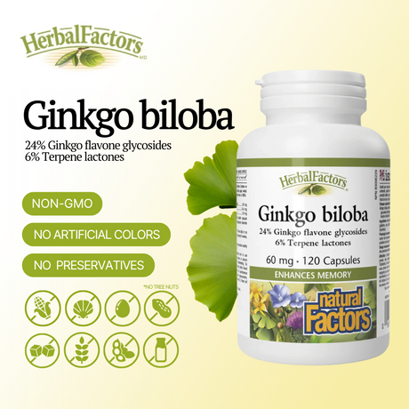 HerbalFactors Ginkgo biloba 60 mg, 120 Capsules