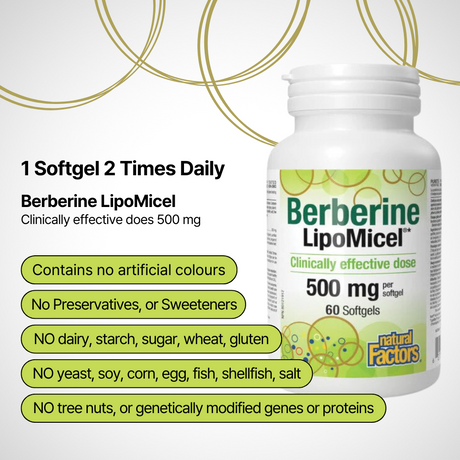 Berberine LipoMicel 500 mg 60 Softgels