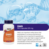 DMG 125 mg, 100 Veg Capsules