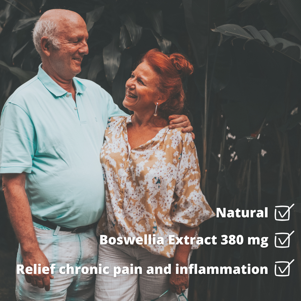 Boswellia Extract 380 mg, 90 Veggie Caps