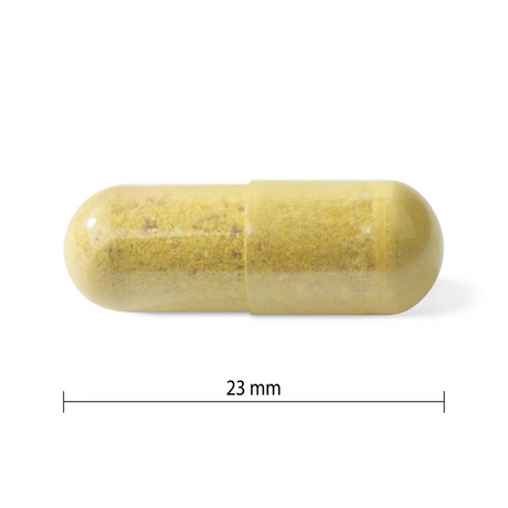 Multivitamin For Adult Women 50+ 120 Veggie Caps